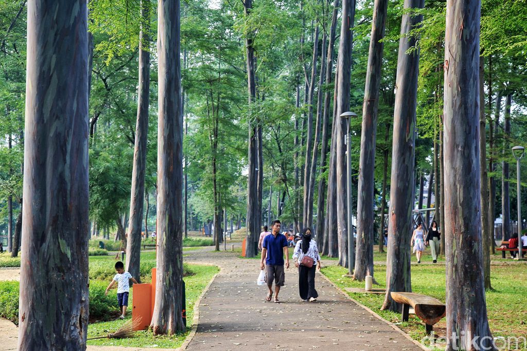Taman yang hijau